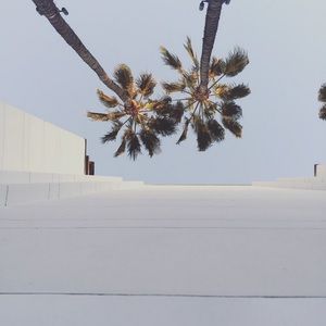 Meet your Posher, Lucy